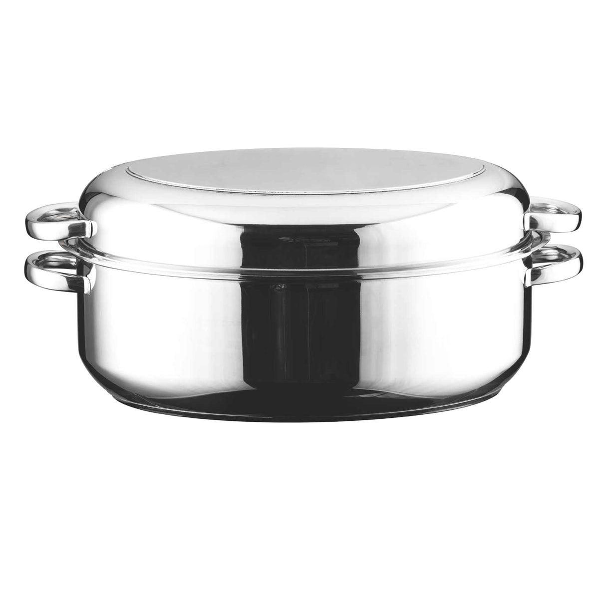 Platinum Oval Roaster – Professional Platinum Cooking Systems